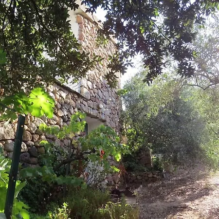 Feriehus Casa In Campagna Dorgali